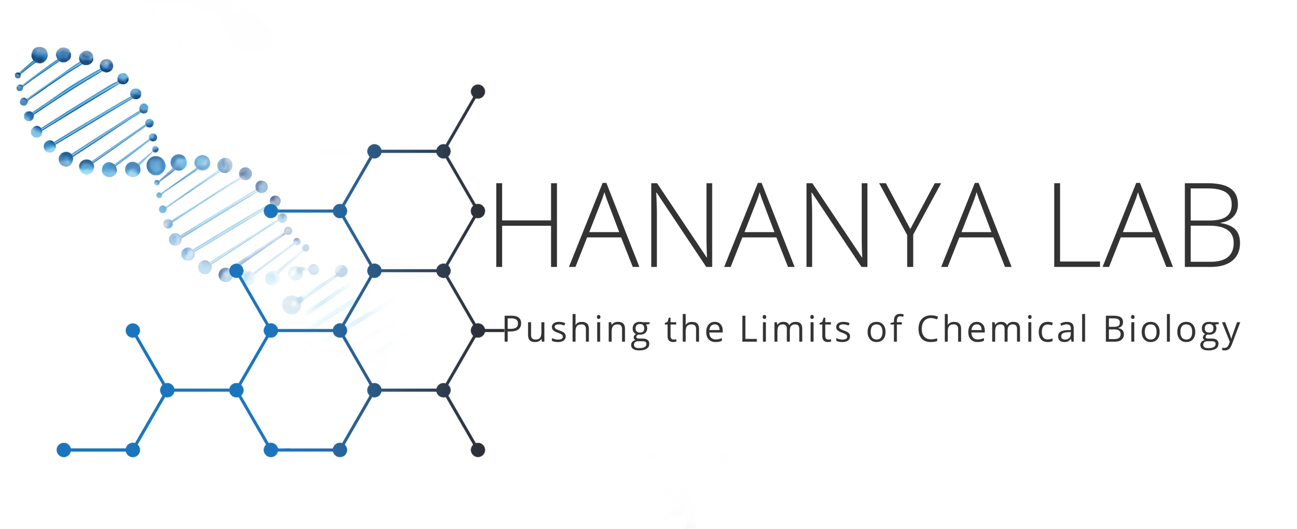 hananyalab-logo-55